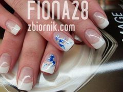 fench z niebieskim