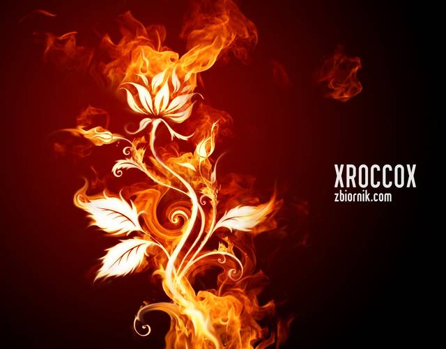 XROCCOX