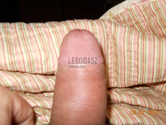 LEONIDAS2