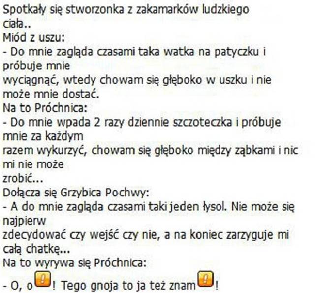ziabolek