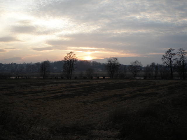 anglik22