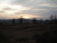 plenerek