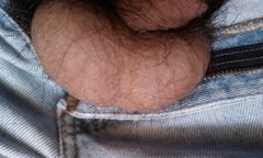 IMAG0144.jpg