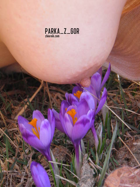 Co za wiosenny zapach :))) - parka_z_gor