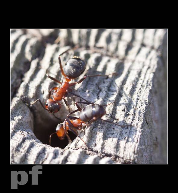 WIOSENNA KONTROLA DZIURY - panfoto