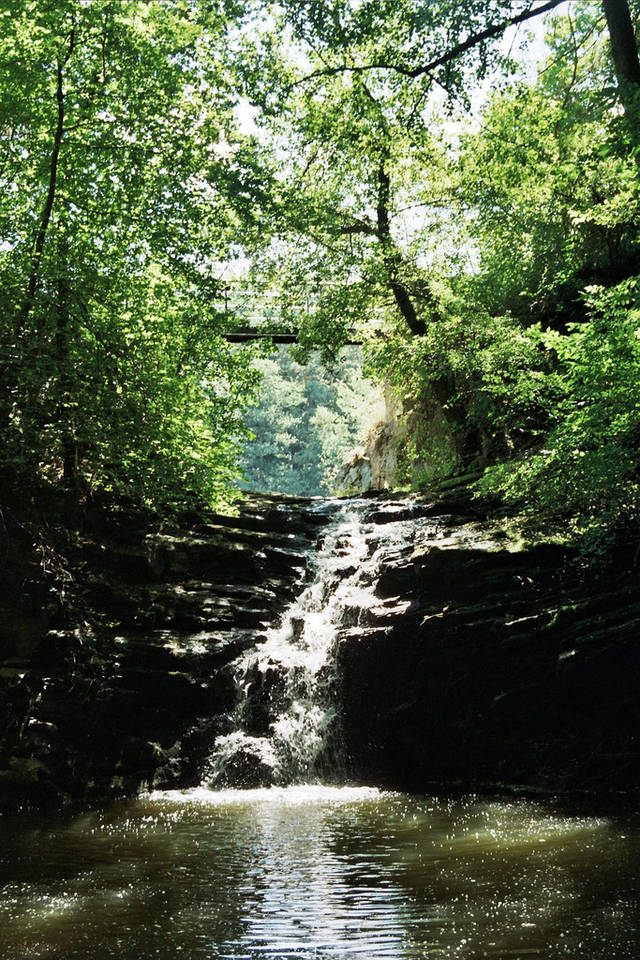 konieckropki