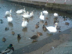 DSC00057.JPG