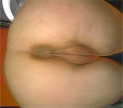 seksi?