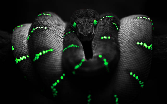 wallpapersapril4.jpg - qwsa