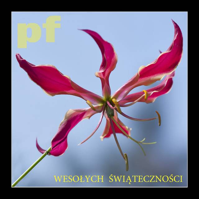 ŚWIĄTECZNIE - panfoto