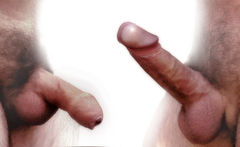 800px-Erection_Homme2[1].jpg