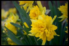 DSC00450.JPG