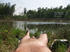 nature 1