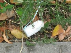tampon