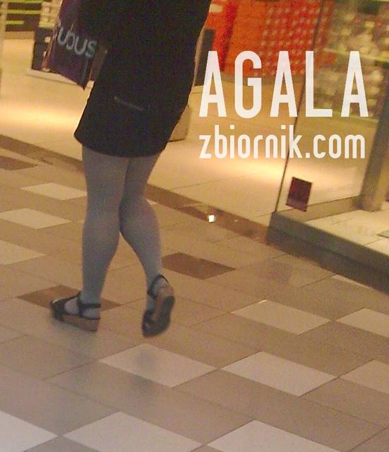 szare 6 - AGALA