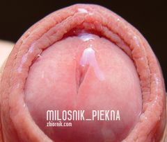 Słodka Malinka
