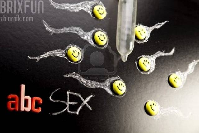 abc-sex-edukacji.jpg - brixfun