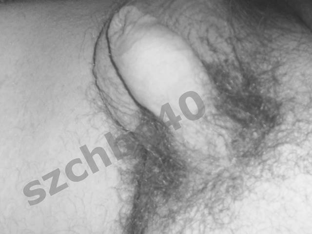 ....... - szchbe40