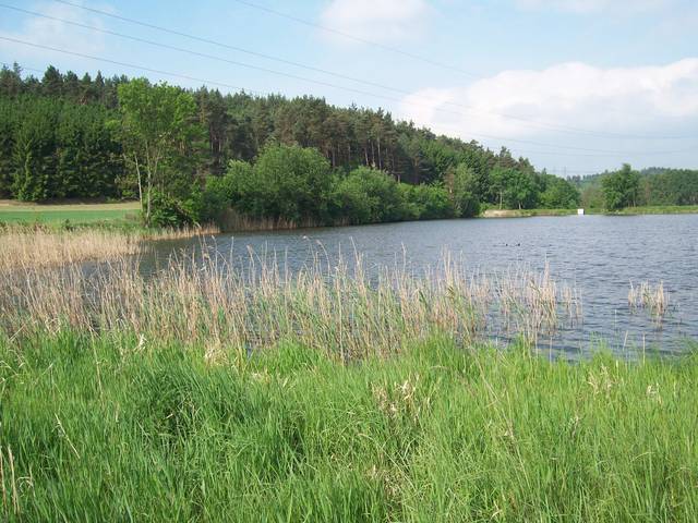 Jura46