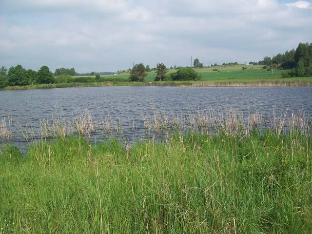 Jura46