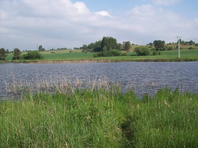 Jura46