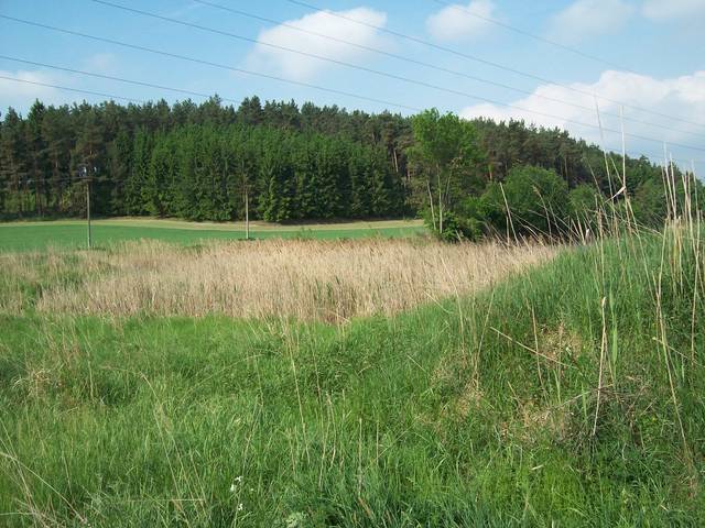 Jura46