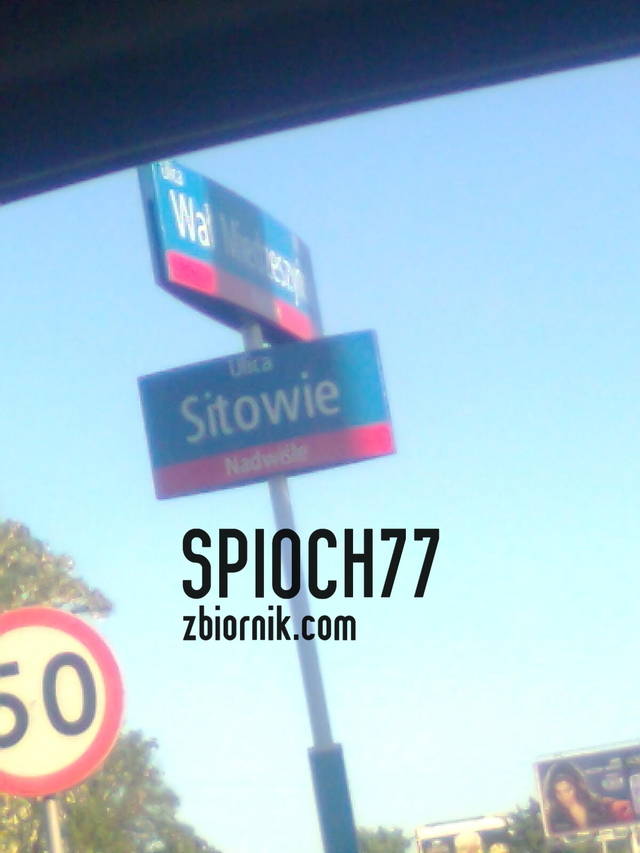 spioch77