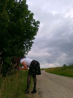 201107041231.jpg