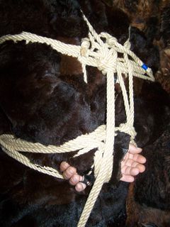 100_5235.jpg