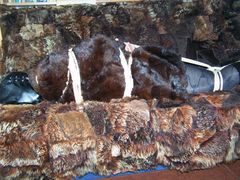 100_5239.jpg
