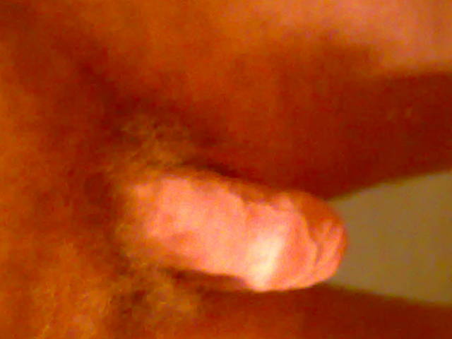11072011702.jpg - Peter9416