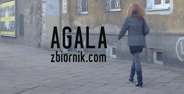 zebra - AGALA