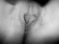 100_0219.JPG