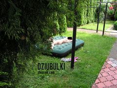 PRZYŁAPANA