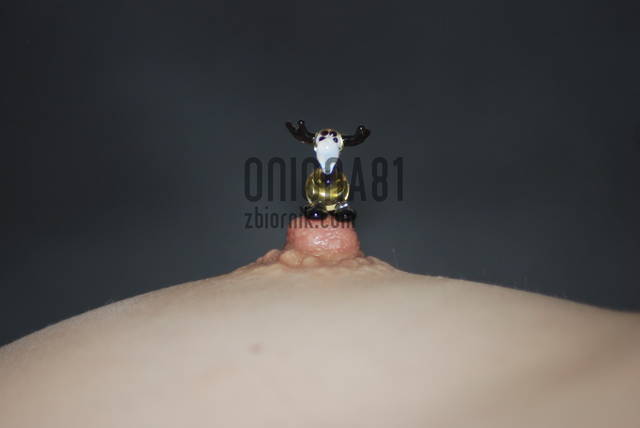 onionamakro01.JPG - oniona81