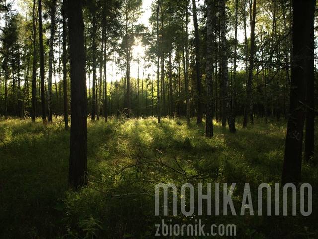 Mohikanin0