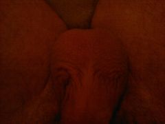 201107301071.jpg