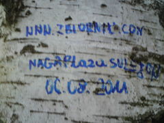 weryfikacja