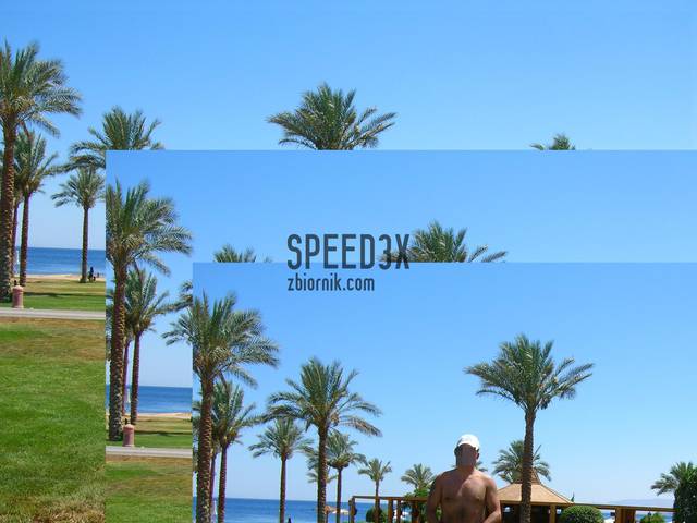 ello - speed3x