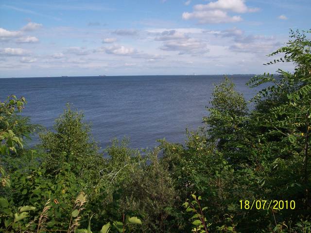 101_2204.JPG - MChamer9999