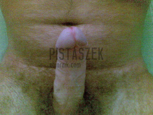 06012008(009).jpg - pistaszek