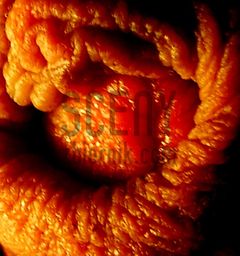 1300748734-picsay.jpg