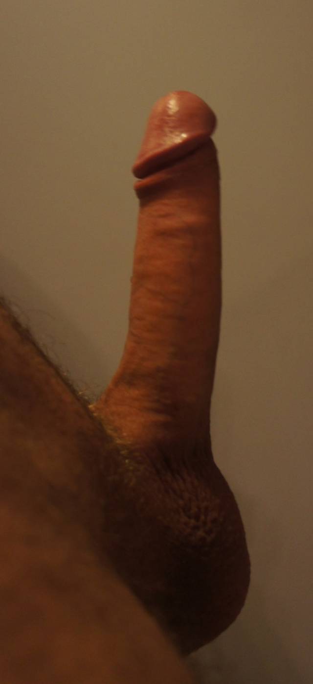 darek_kosz