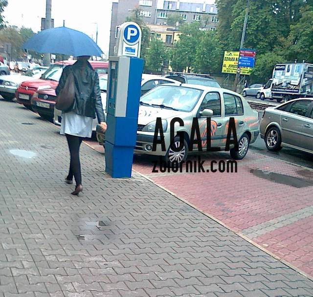 deszczowo4 - AGALA