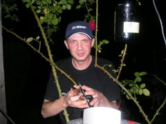 tomek