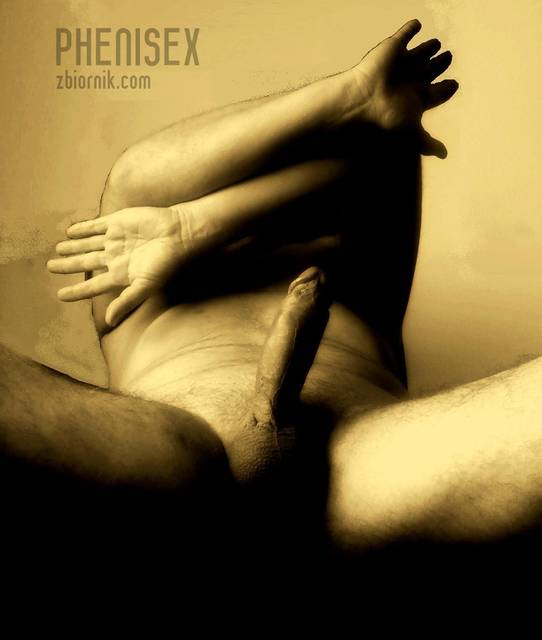 no pasaran - phenisex