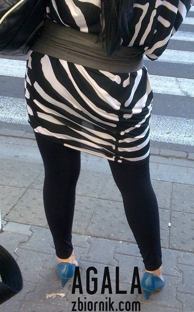 zebra z przeswitem - AGALA