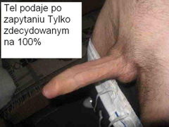pałka