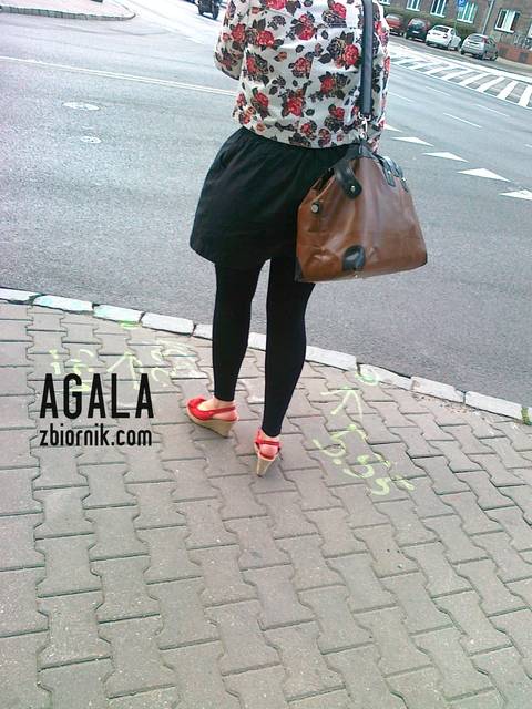 20110915083L.jpg - AGALA