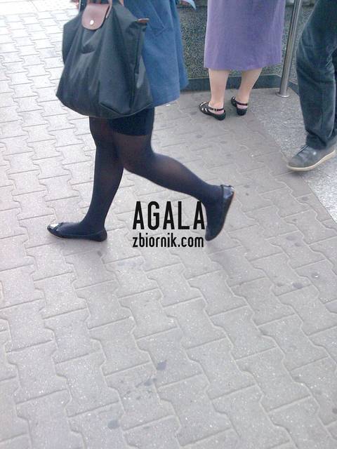 Pn017cz.jpg - AGALA